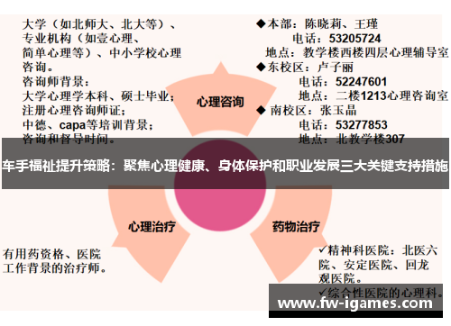 车手福祉提升策略:聚焦心理健康、身体保护和职业发展三大关键支持措施 车手福祉提升策略:聚焦心理健康、身体保护和职业发展三大关键支持措施