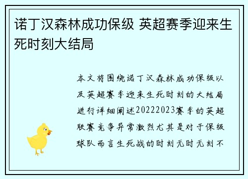 诺丁汉森林成功保级 英超赛季迎来生死时刻大结局